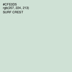 #CFE0D5 - Surf Crest Color Image